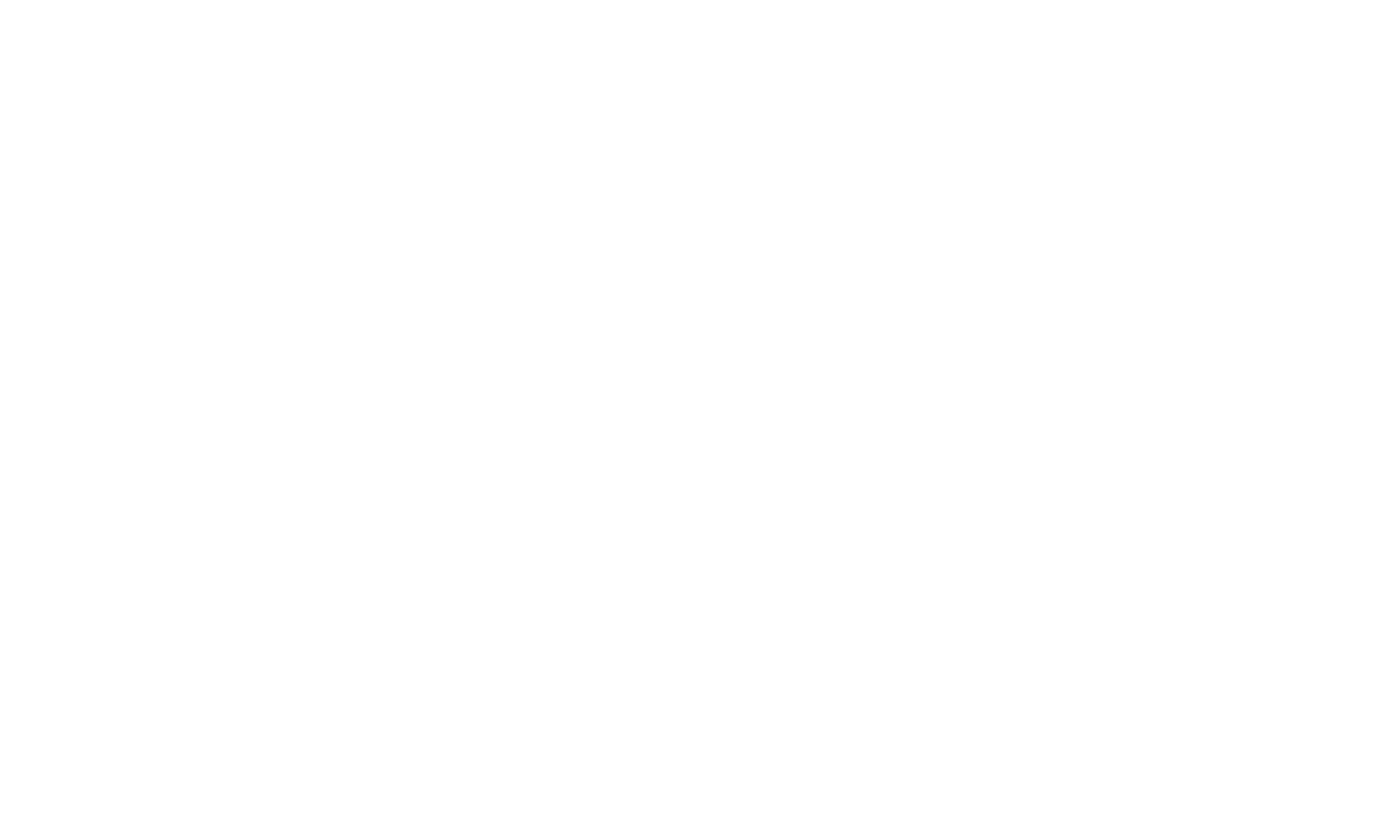 Frees Service Nederland